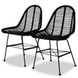 Vidaxl eetkamerstoelen 2 st natuurlijk rattan zwart