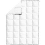 Vidaxl Winter Cover Bed 150x200 cm dons