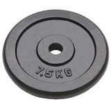 Vidaxl Halter Discs 4 St 4x7,5 kg støbejern