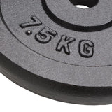 Vidaxl Halter Discs 4 St 4x7,5 kg støbejern