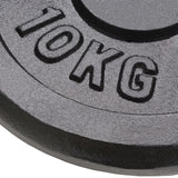 Vidaxl Halter Discs 2 Pcs 2x10 kg støbejern