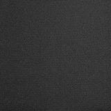 Vidaxl Laifeldoek 300x250 cm lærred antracit