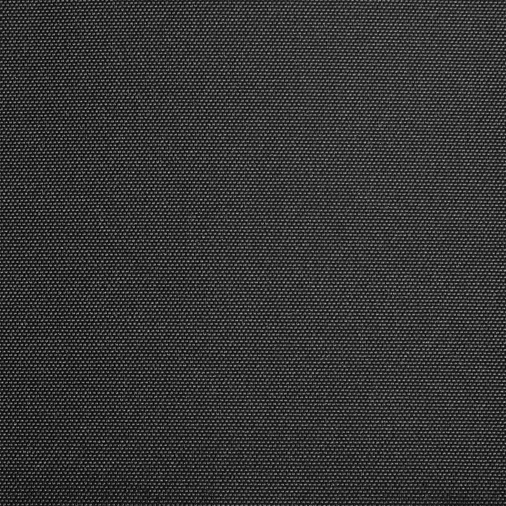 Vidaxl Laifeldoek 400x300 cm lærred antracit