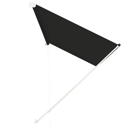 Vidaxl Luifel Udvidelig 300x150 cm Anthracite