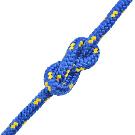 Vidaxl Boot Rope 14 mm 250 m polypropylenblå