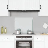 Vidaxl Splash Screen Kitchen 70x60 cm Term Glass Transparent