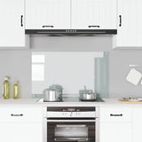Vidaxl Splash Screen Kitchen 100x60 cm Term Glass Transparent