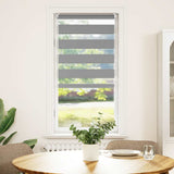 Vidaxl Duo Roller Blind 60x120cm Grå