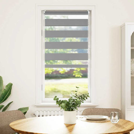 Vidaxl Duo Roller Blind 60x120cm Grå