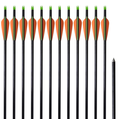 Vidaxl Arrows Compound Arch Standard 30 0,8 cm fiberoptiske 12 stykker