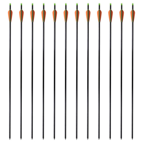 Vidaxl Arrows Compound Arch Standard 30 0,8 cm fiberoptiske 12 stykker