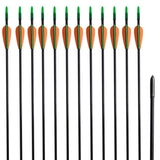 Vidaxl RecurveBoog Standard med pile 30 0,6 cm fiberoptiske 12 stykker