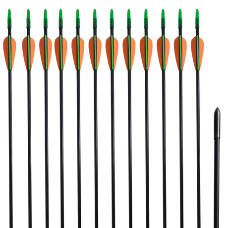 Vidaxl RecurveBoog Standard med pile 30 0,6 cm fiberoptiske 12 stykker