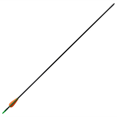 Vidaxl RecurveBoog Standard med pile 30 0,6 cm fiberoptiske 12 stykker
