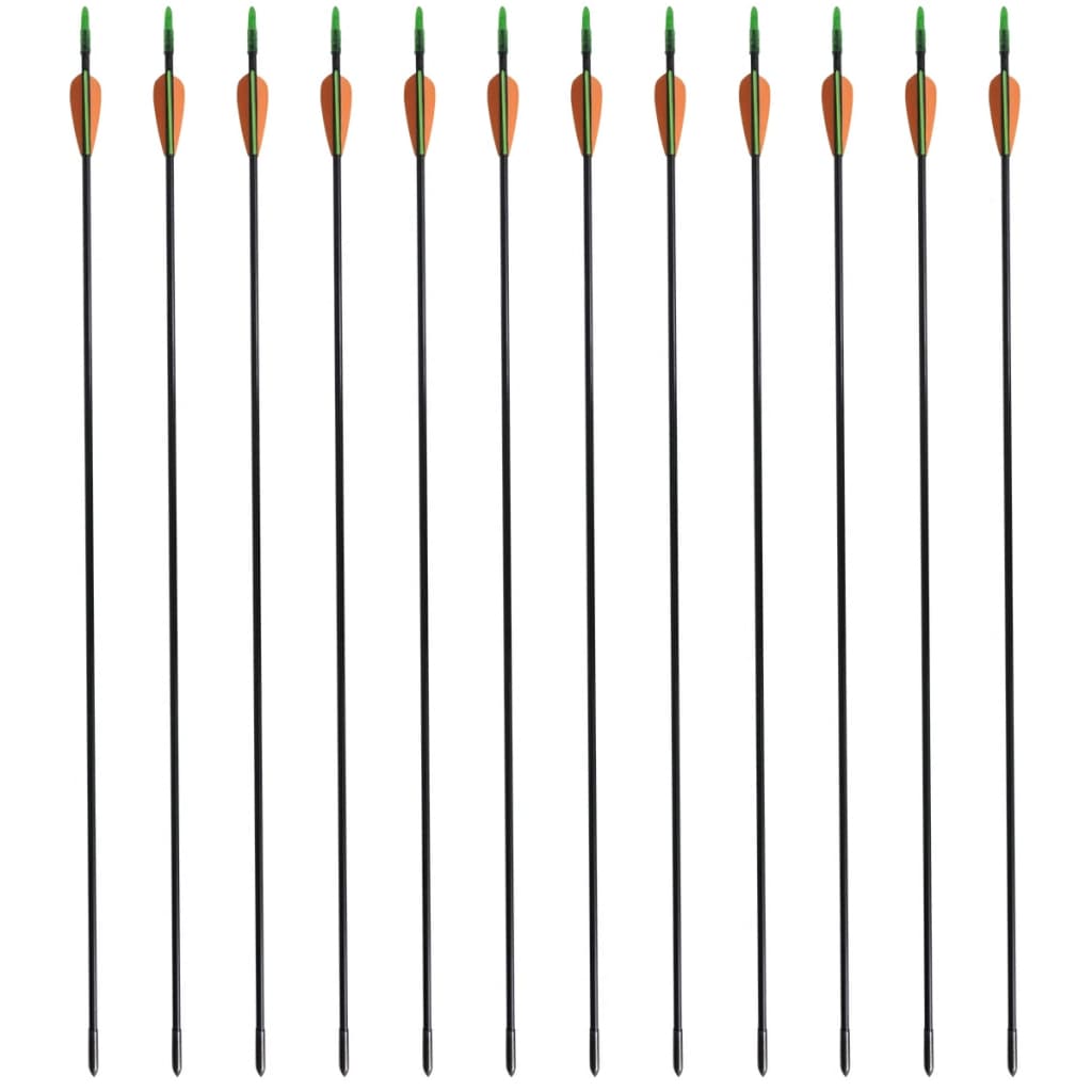 Vidaxl RecurveBoog Standard med pile 30 0,6 cm fiberoptiske 12 stykker