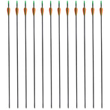 Vidaxl RecurveBoog Standard med pile 30 0,6 cm fiberoptiske 12 stykker