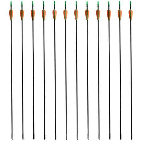 Vidaxl RecurveBoog Standard med pile 30 0,6 cm fiberoptiske 12 stykker