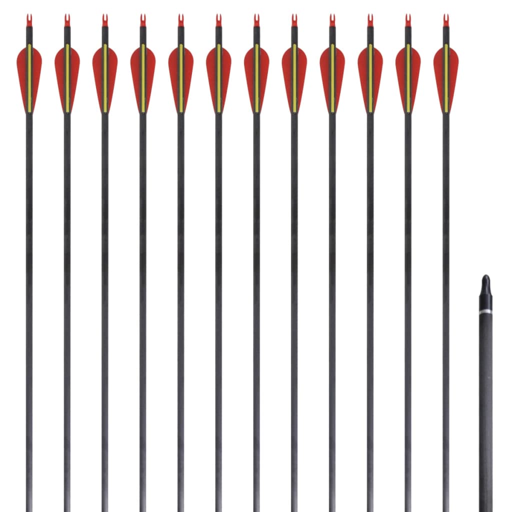 Vidaxl -pile til recurveBog Standard 30 0,76 cm Carbon 12 stykker