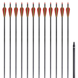 Vidaxl -pile til recurveBog Standard 30 0,76 cm Carbon 12 stykker