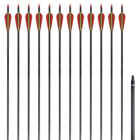 Vidaxl -pile til recurveBog Standard 30 0,76 cm Carbon 12 stykker