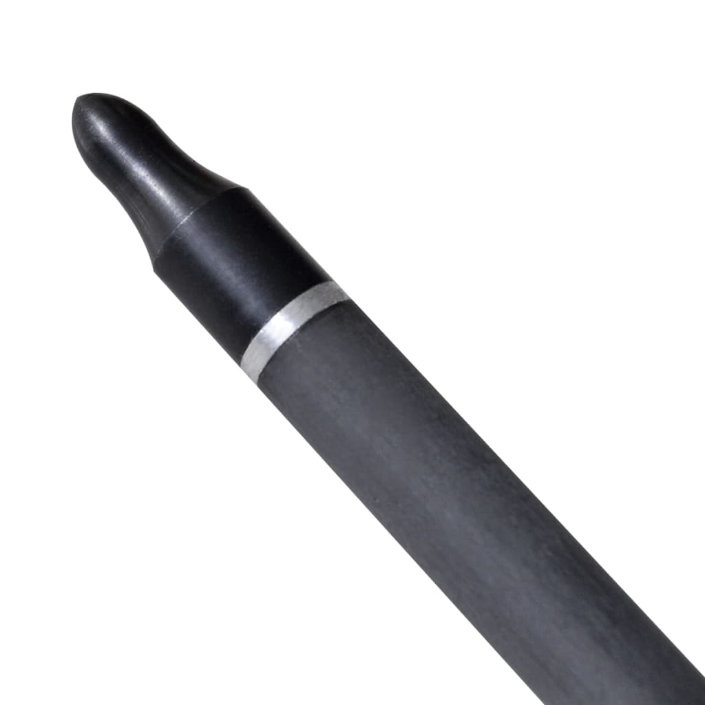 Vidaxl -pile til recurveBog Standard 30 0,76 cm Carbon 12 stykker