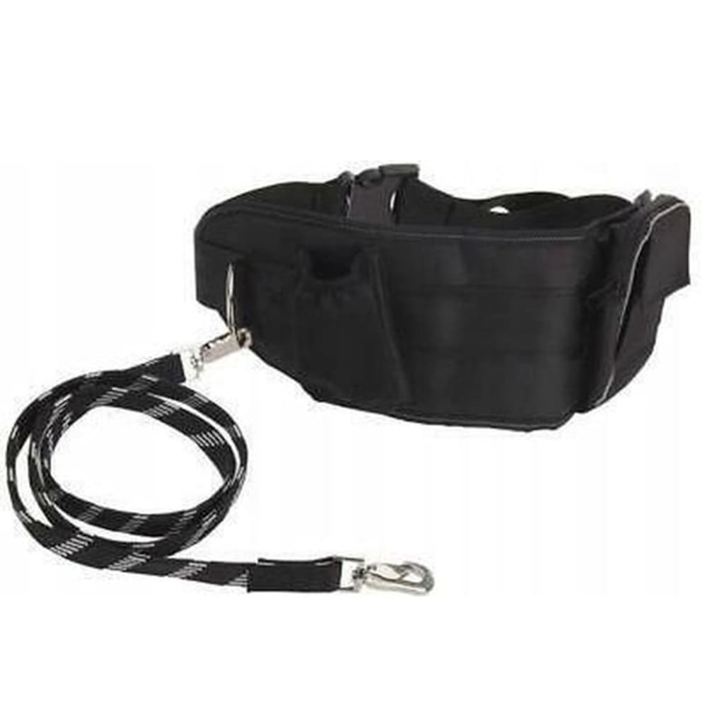 Pets Collection Pets Collection Dog Line med hofteband Groot Black