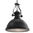 Vidaxl loftslampe omkring E27 sort