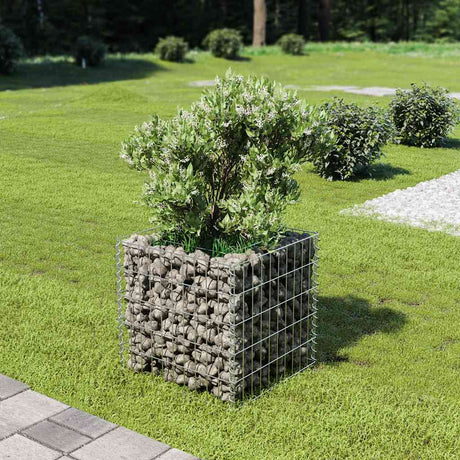 Vidaxl Gabion Planter hævede 50x50x50 cm galvaniseret stål