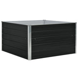 Vidaxl Planter Insented 100x100x45cm galvaniseret stål antracit