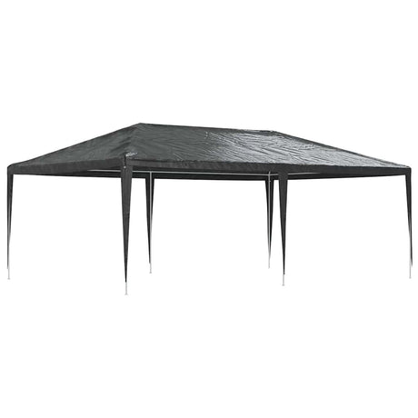Vidaxl Parttent Professional 90 g m² 4x6 m Anthracite