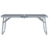 Vidaxl campingbord sammenfoldelig 60x40 cm aluminium grå