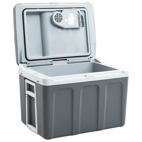 Vidaxl Cool Box Termoelektrisk bærbar 12 V 230 V E 40 L