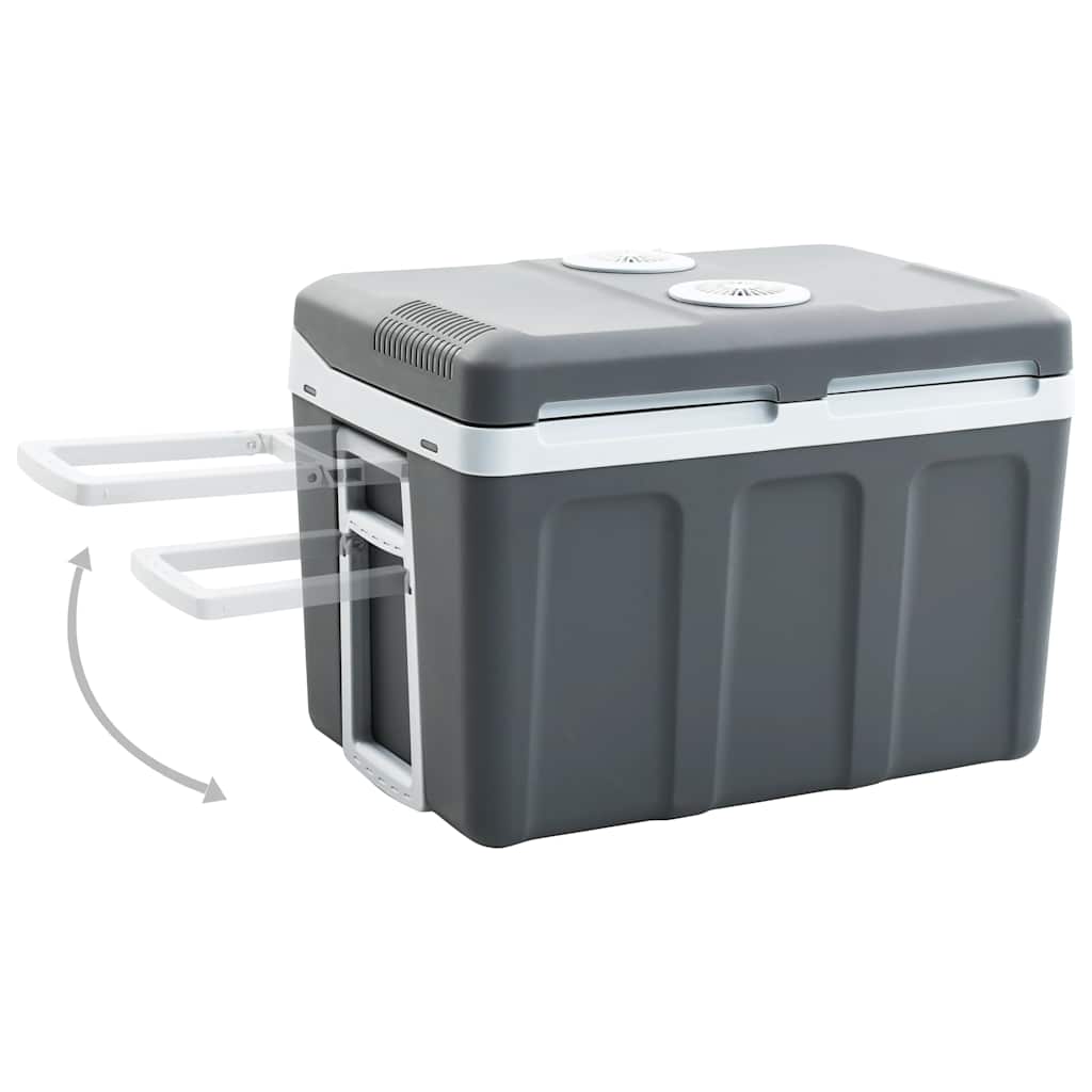 Vidaxl Cool Box Termoelektrisk bærbar 12 V 230 V E 40 L