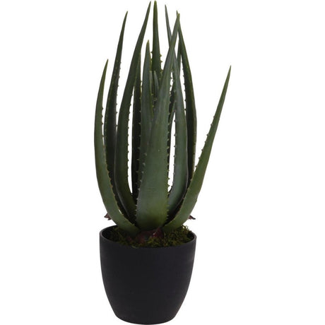 Andre mærker kunstig plante aloe vera 25x45 cm grøn