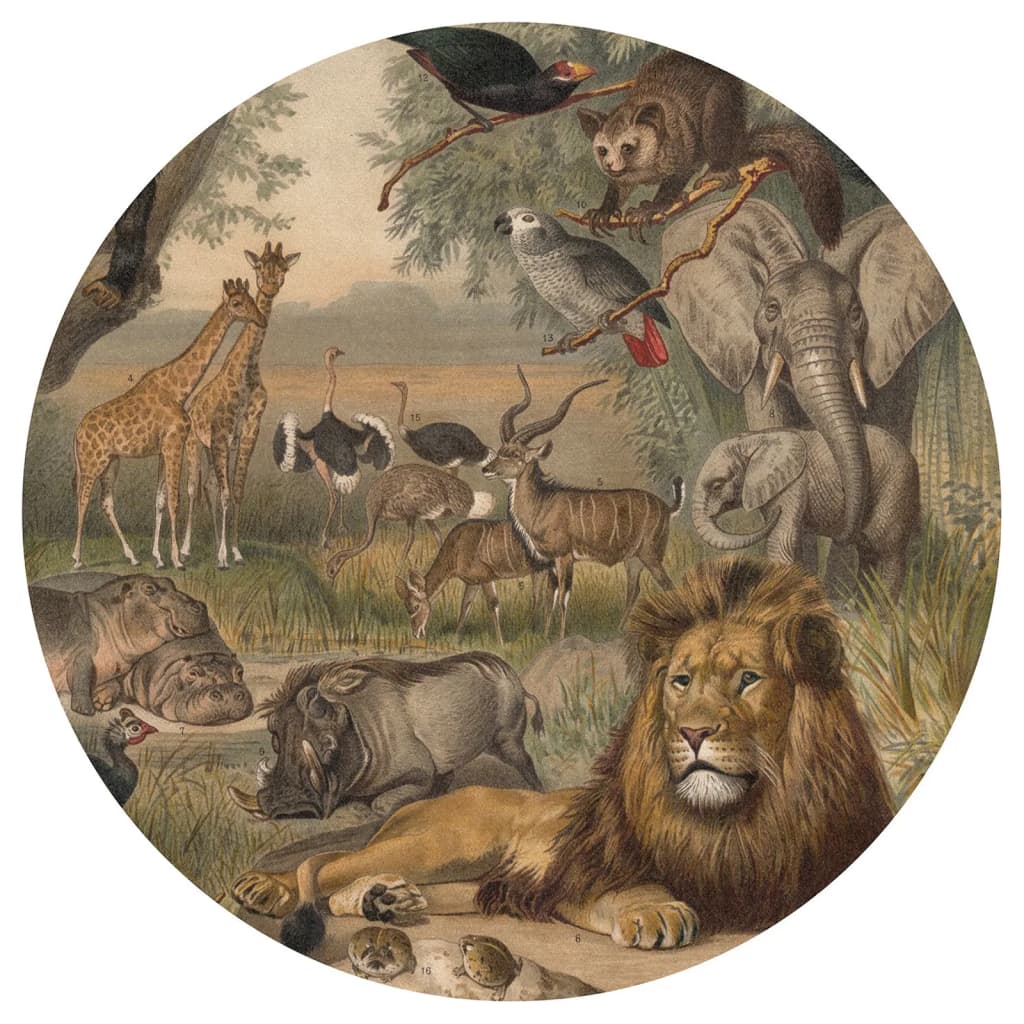 Wallart Wallow Circle Animals of Africa 142,5 cm