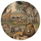 Wallart Wallow Circle Animals of Africa 142,5 cm