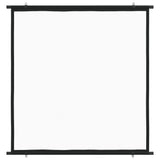 Vidaxl Projection Screen 1: 1 67 ''