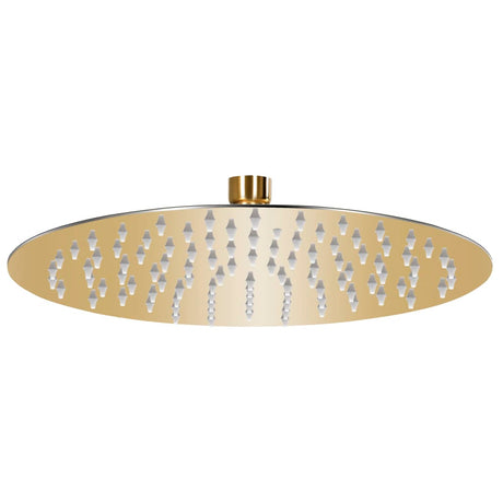 Vidaxl Rain Bruser Hoved Runde 25 cm Rustfrit stål Guldfarvet