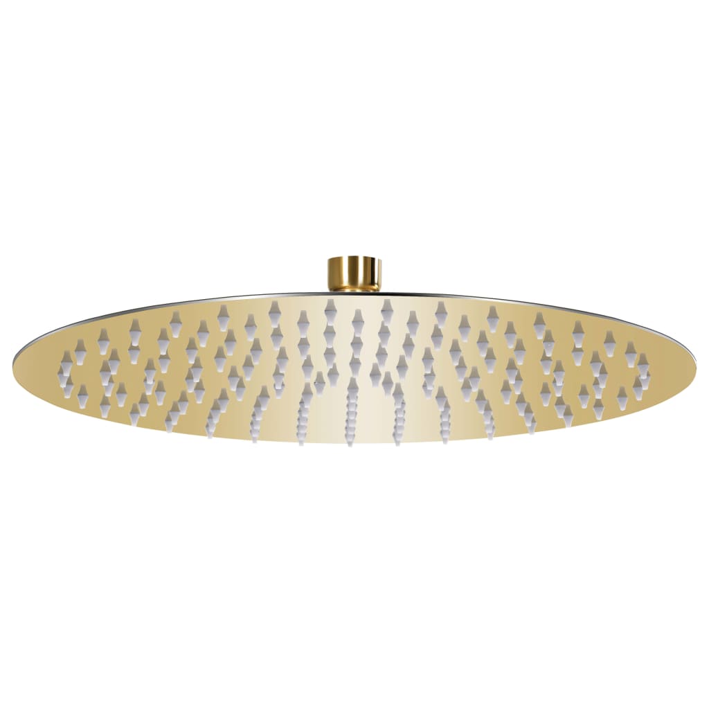 Vidaxl Rain Bruser Hoved Runde 30 cm Rustfrit stål Guldfarvet