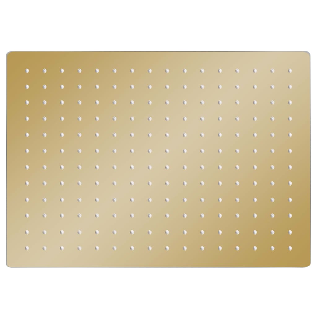 Vidaxl Rain Bruser Hoved Rektangulær 40x30 cm Rustfrit stål guldfarvet