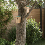 Vidaxl Bird huser 10 stk. 12x12x22 cm solid fyrretræ