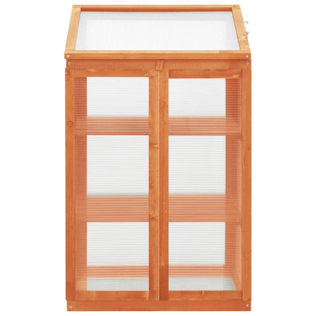 Vidaxl Greenhouse 60x45x100 cm Vurenhout