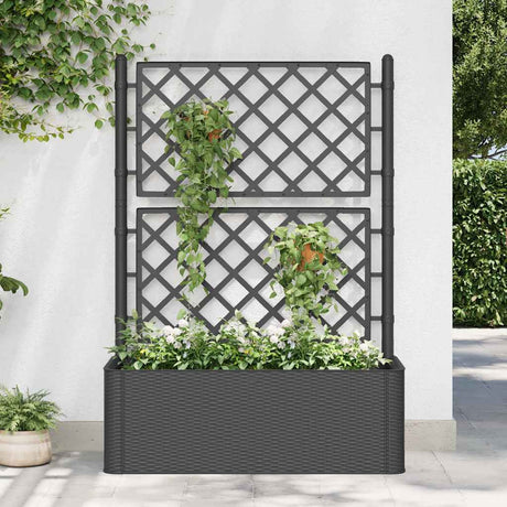 Vidaxl planter højt med latwerk og selvudvalgssystem Anthracite