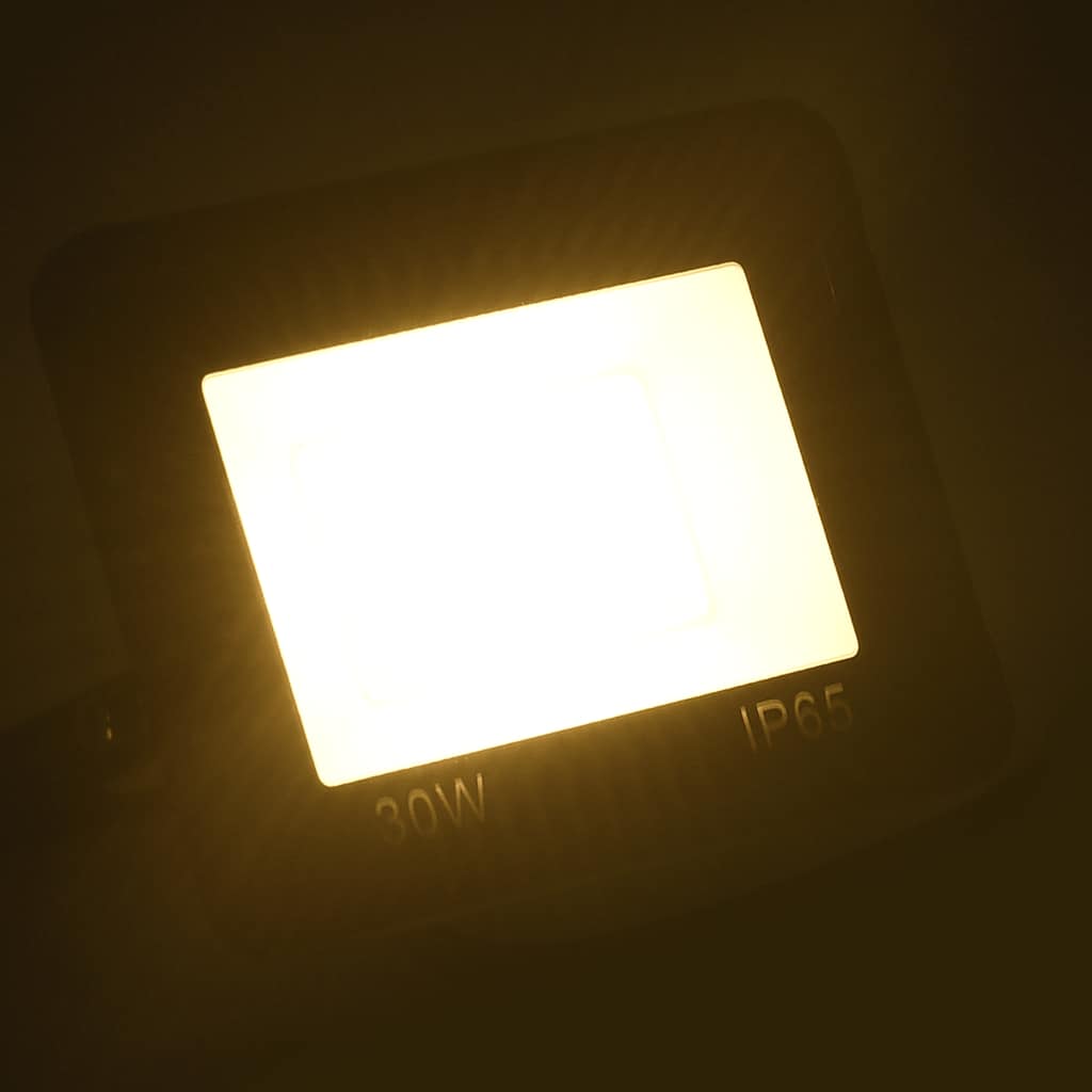Vidaxl Spotlight førte 30 W Warm White