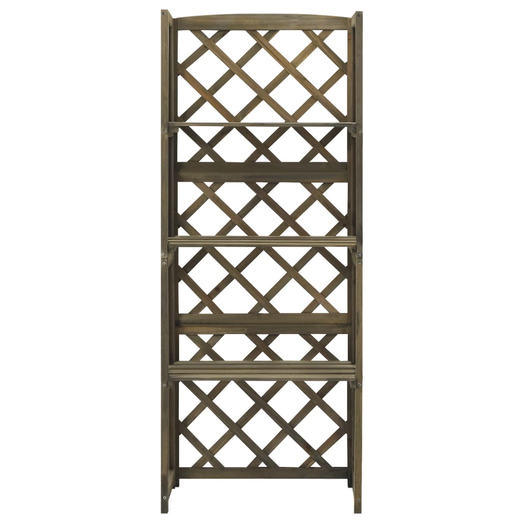 Vidaxl latwerk med hylder 55x30x140 cm Solid fyrretræ grå grå