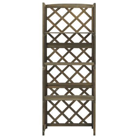 Vidaxl latwerk med hylder 55x30x140 cm Solid fyrretræ grå grå