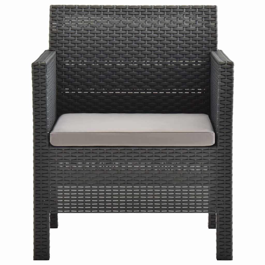 Vidaxl tuinstoelen 2 st met kussens pp rattan antracietkleurig