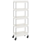 Vidaxl keukentrolley 5-laags 42x29x128 cm ijzer en abs wit
