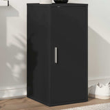 Vidaxl Shoe Cabinet 32x35x70 cm Property Wood Black