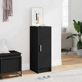 Vidaxl Shoe Cabinet 32x35x92 cm Property Wood Black